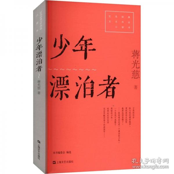 少年漂泊者