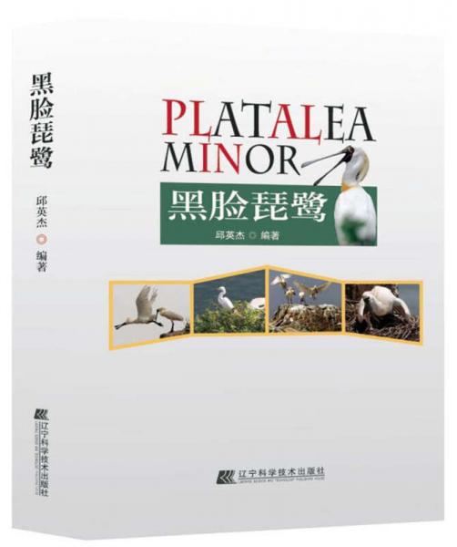黑臉琵鷺