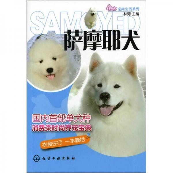 萨摩耶犬