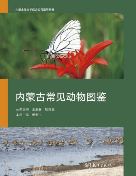 內(nèi)蒙古常見動物圖鑒
