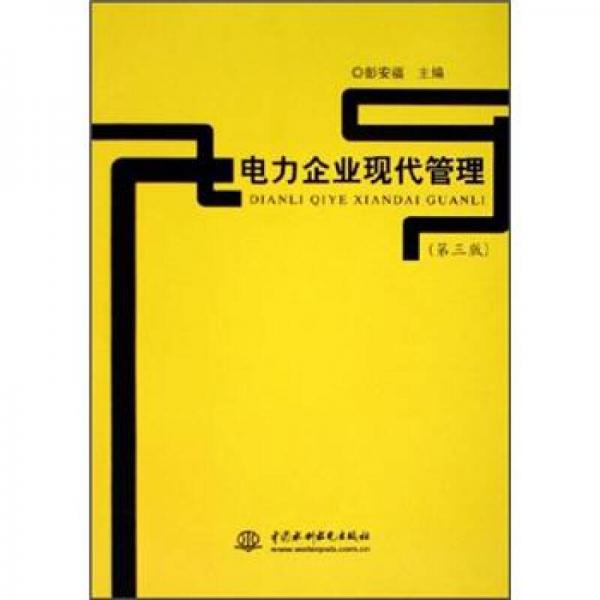 電力企業(yè)現(xiàn)代管理（第3版）