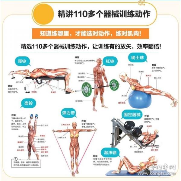 器械健身彩色图谱 超值口袋版