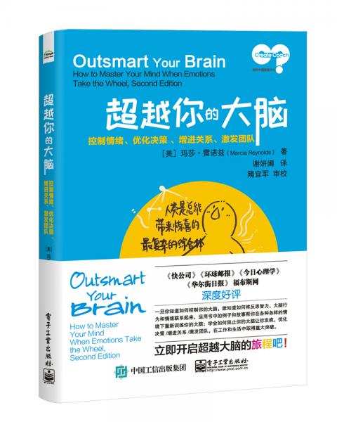 超越你的大脑：控制情绪、优化决策、增进关系、激发团队