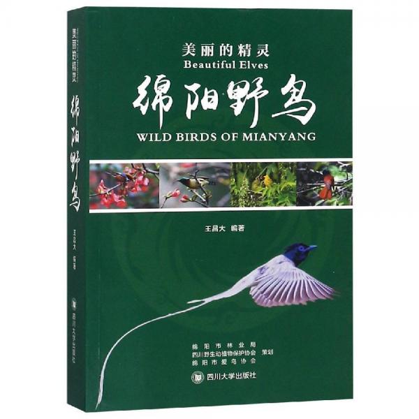 美麗的精靈:綿陽(yáng)野鳥(niǎo) 