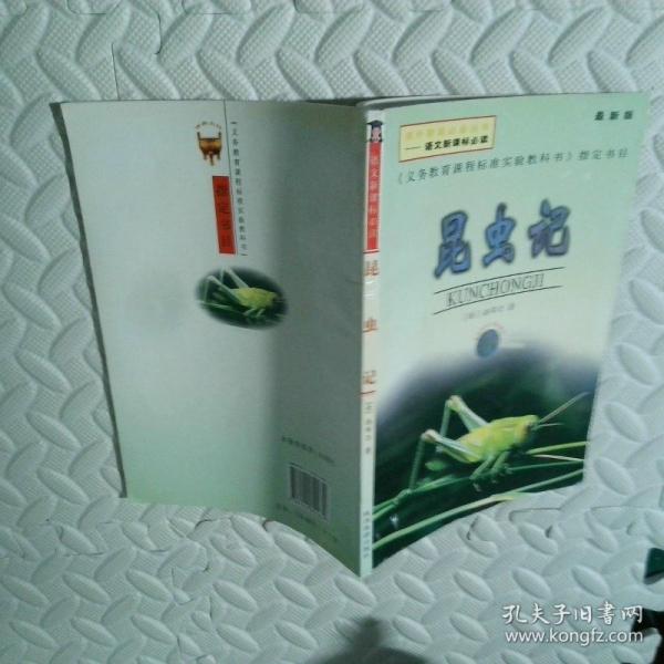 童年:最新版