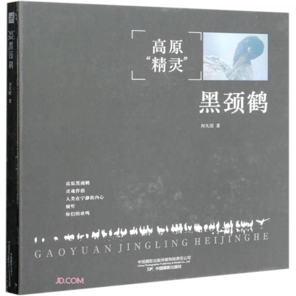 高原精灵黑颈鹤(精)