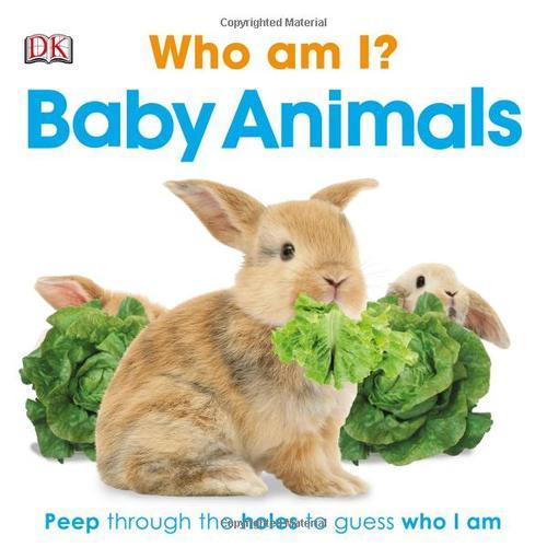 Who Am I? Baby Animals (DK Touch and Feel) DK触摸书：动物宝宝 