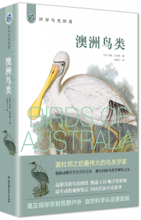 澳洲鳥類 