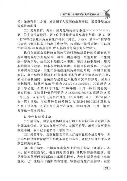 肉兔快速育肥实用技术