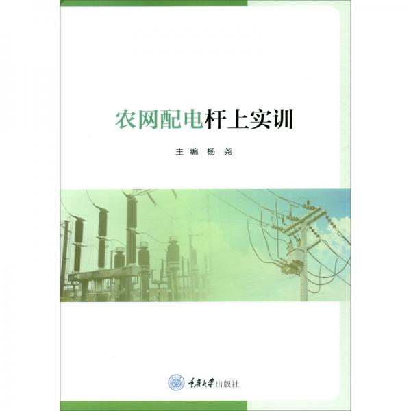 農(nóng)網(wǎng)配電桿上實訓(xùn)
