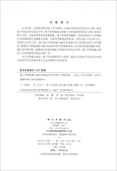 地下管线监测与城市发展适应性分析