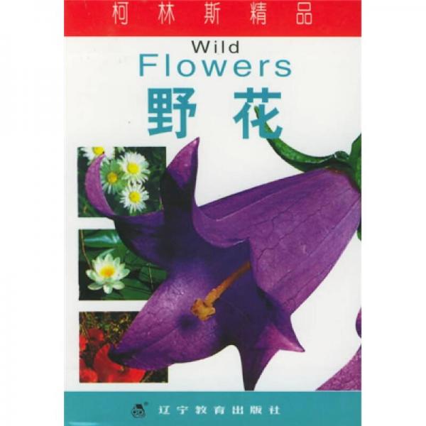 柯林斯精品