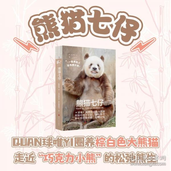 熊貓七仔
