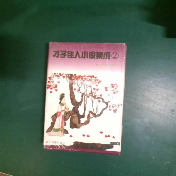 才子佳人小說集成:古代愛情婚姻小說類編