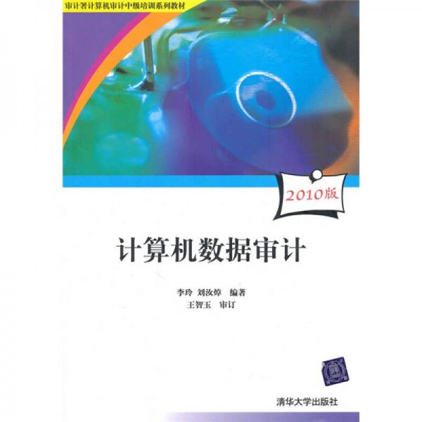 審計(jì)署計(jì)算機(jī)審計(jì)中級(jí)培訓(xùn)系列教材：計(jì)算機(jī)數(shù)據(jù)審計(jì)