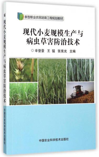 現(xiàn)代小麥規(guī)模生產(chǎn)與病蟲草害防治技術(shù)