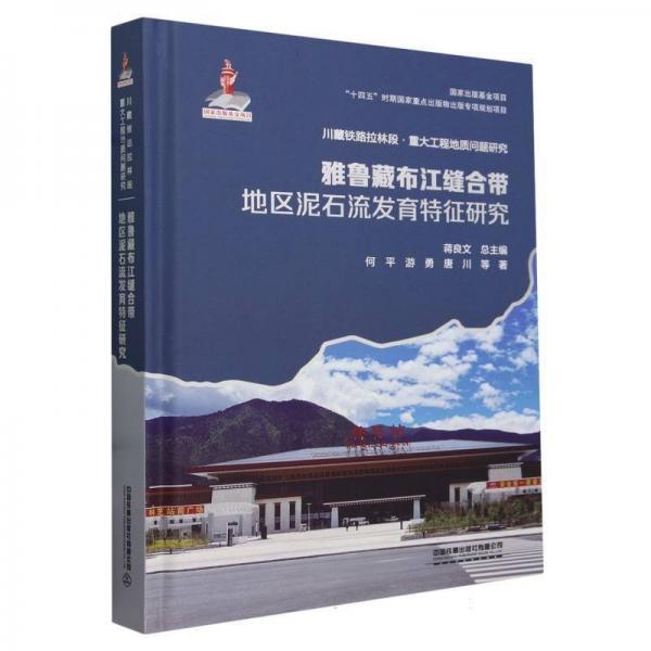 雅魯藏布江縫合帶地區(qū)泥石流發(fā)育特征研究