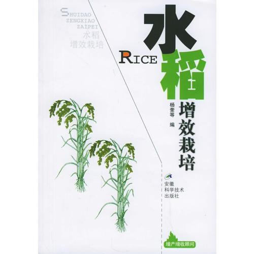 水稻增效栽培