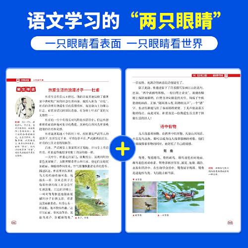 2025春陽光同學(xué)博物課堂語文三年級下冊人教版閱讀理解3年級下冊尋寶學(xué)習(xí)大百科全書閱讀技能提升