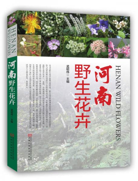 河南野生花卉