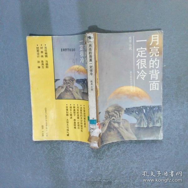 月亮的背面一定很冷:改革小說(shuō)