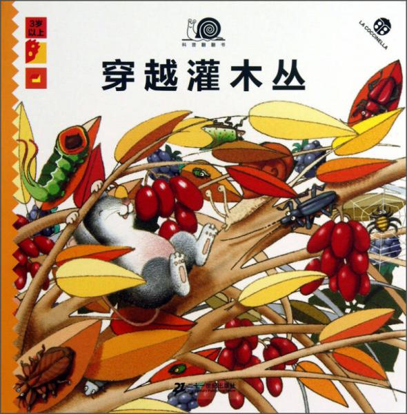 科普翻翻書：穿越灌木叢（3歲以上）