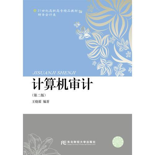 計(jì)算機(jī)審計(jì)（第二版）