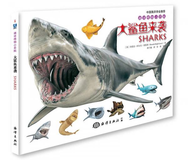 海洋怪物小百科：大鲨鱼来袭