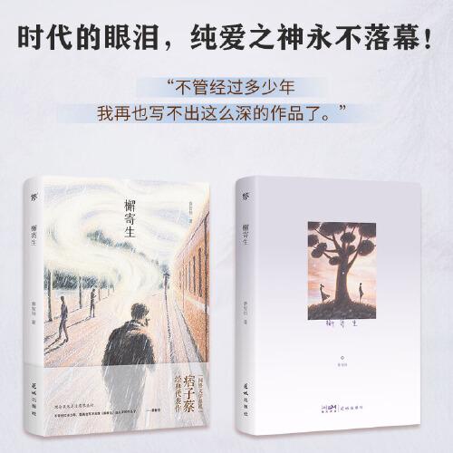 檞寄生