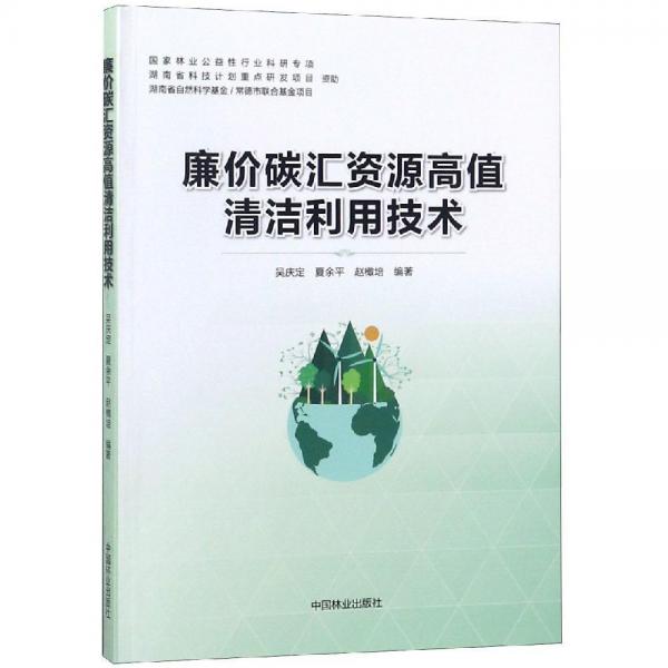 廉價(jià)碳匯資源高值清潔利用技術(shù) 