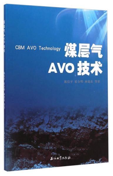煤层气AVO技术