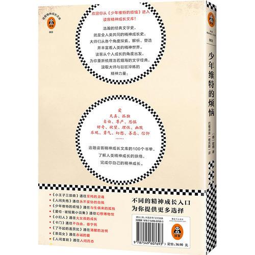 少年维特的烦恼