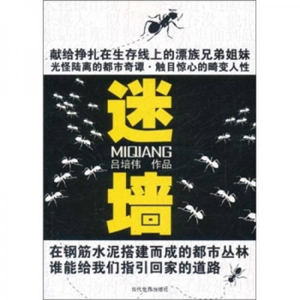 迷墻