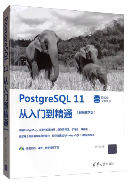 PostgreSQL11从入门到精通（视频教学版）/数据库技术丛书
