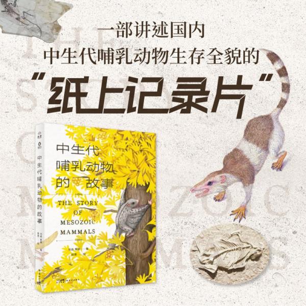 中生代哺乳動物的故事(精)