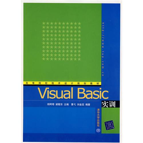 Visual Basic实训——高等院校程序序计规划教材