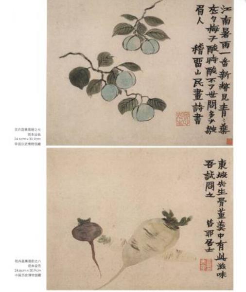 历代名家册页：金农