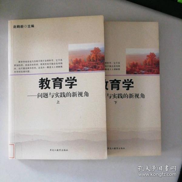 教育學(xué) : 問題與實(shí)踐的新視角