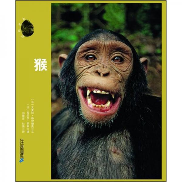 动物世界：猴