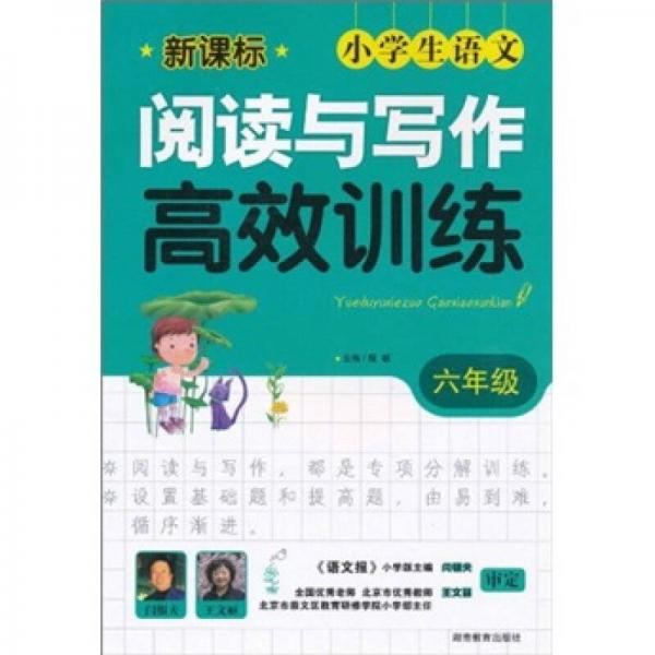 新课标小学生语文阅读与写作高效训练：6年级