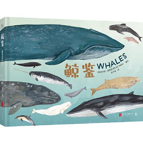 鲸鉴：手绘鲸类图鉴