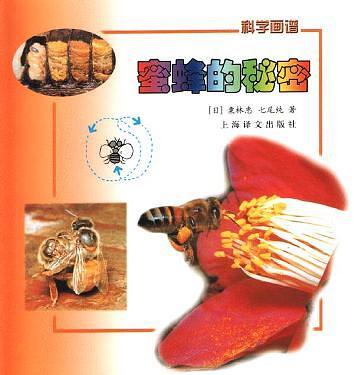 蜜蜂的秘密  科學(xué)畫譜
