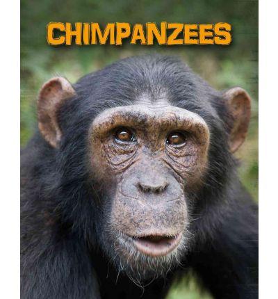 Chimpanzees