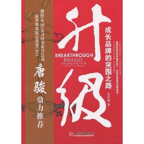 升級:成長品牌的突圍之路