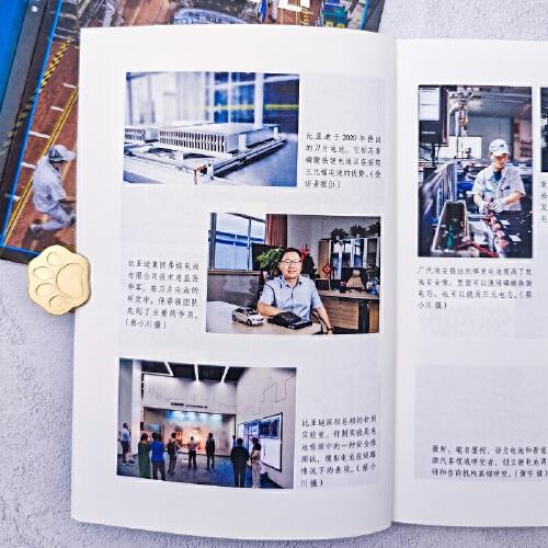 电车之心 中国动力电池传