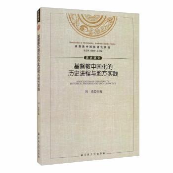 基督教中国化的历史进程与地方实践/基督教中国化研究丛书