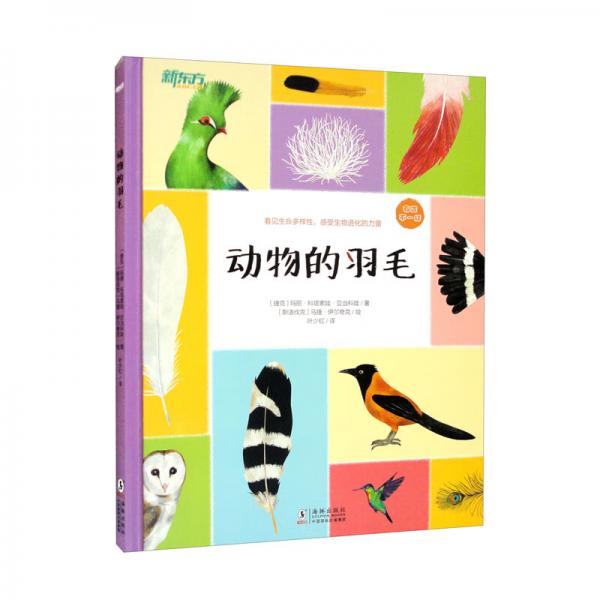 新东方动物的羽毛