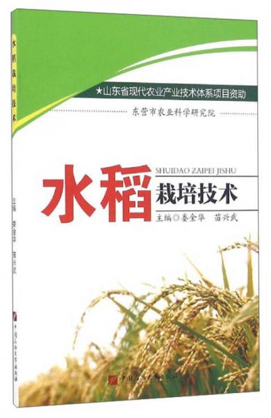 水稻栽培技術(shù)