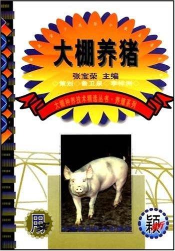 大棚养猪