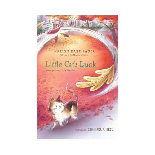 Little Cat\'s Luck